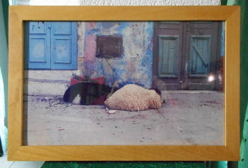 Buche-Bilderrahmen mit einem Urlaubsfoto eingerahmt in einer 30mm breiten, 20mm hohen Leiste